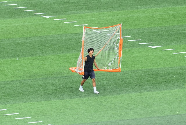 不断有新星