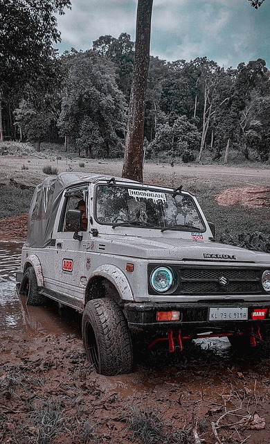 食结构或运 食结构或运