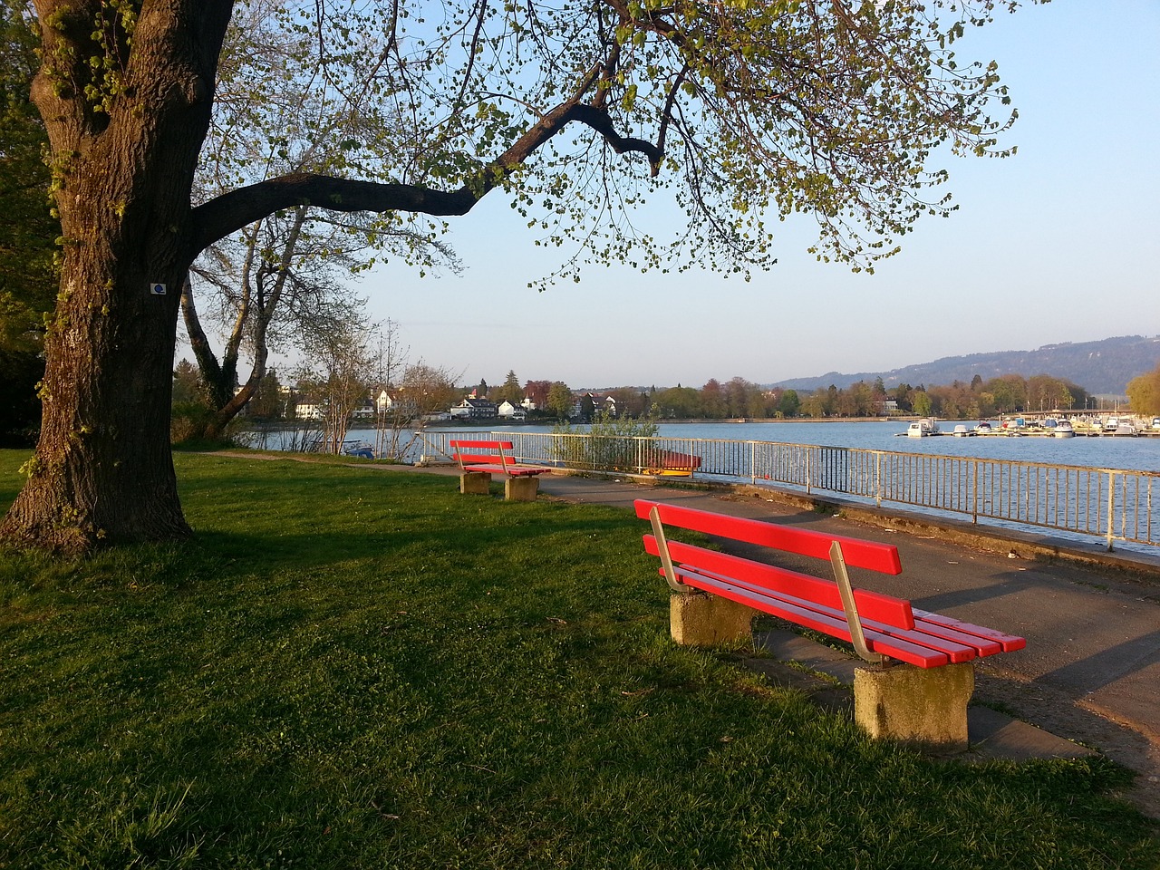 求的战术组 求的战术组