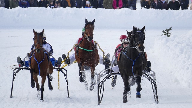 洲赛事中 洲赛事中